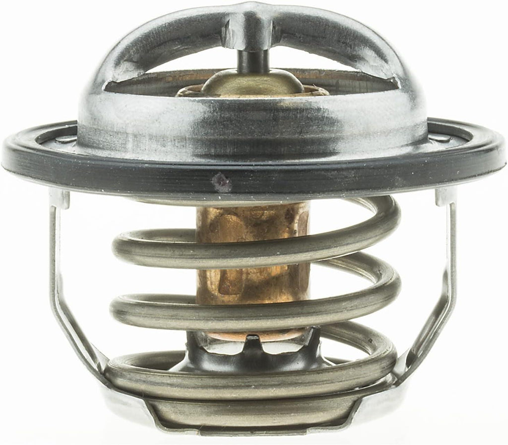 '-14698 OE Type Thermostat,Stainless Steel