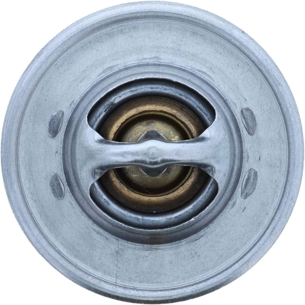 '-13779 OE Type Thermostat,Stainless Steel