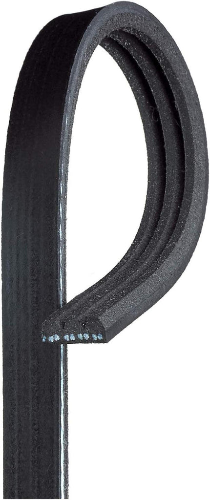 Gold 3K240 Standard V-Ribbed Serpentine Belt