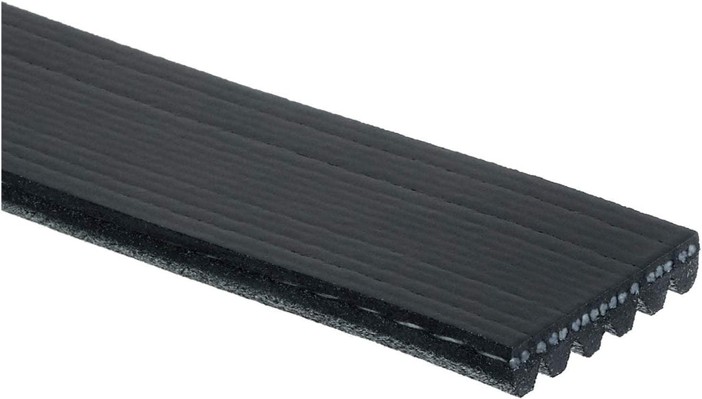 Gold 6K509 Standard V-Ribbed Serpentine Belt