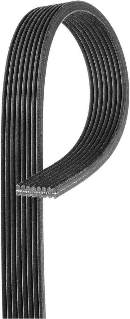Gold 8DK534 Dual Sided V-Ribbed Serpentine Belt