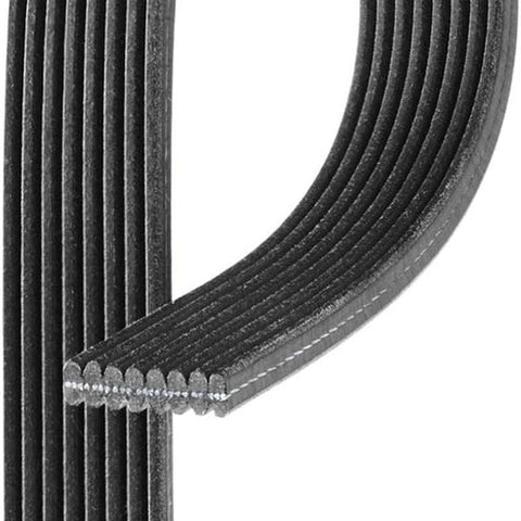 Gold 8DK534 Dual Sided V-Ribbed Serpentine Belt