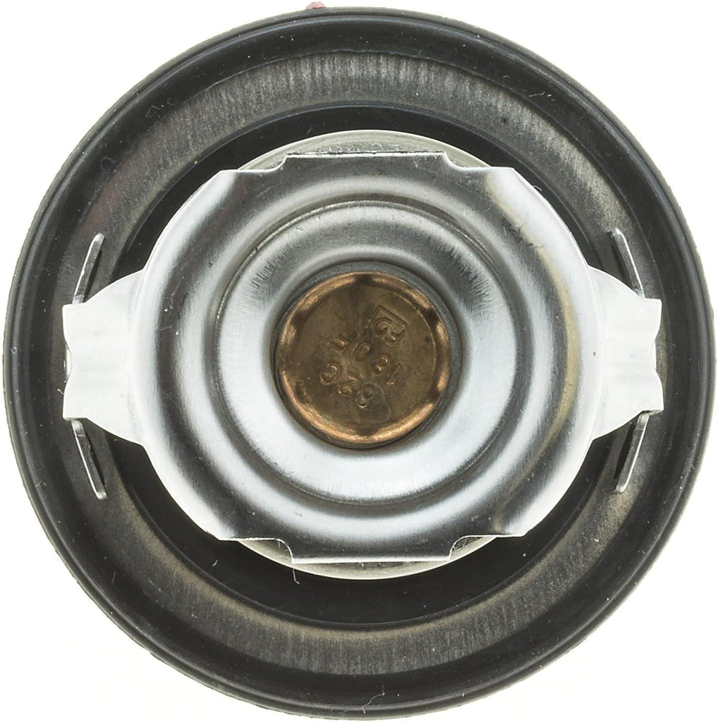 '-14698 OE Type Thermostat,Stainless Steel