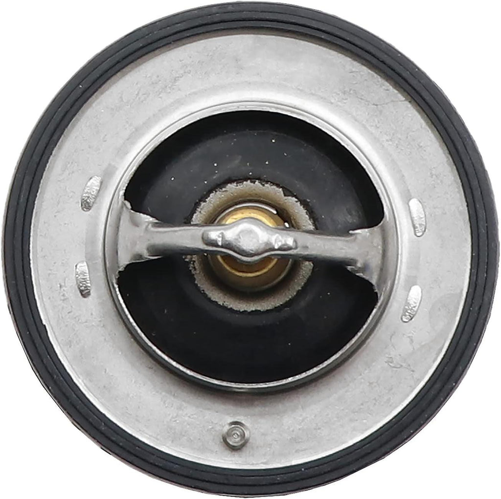143-0789 Thermostat