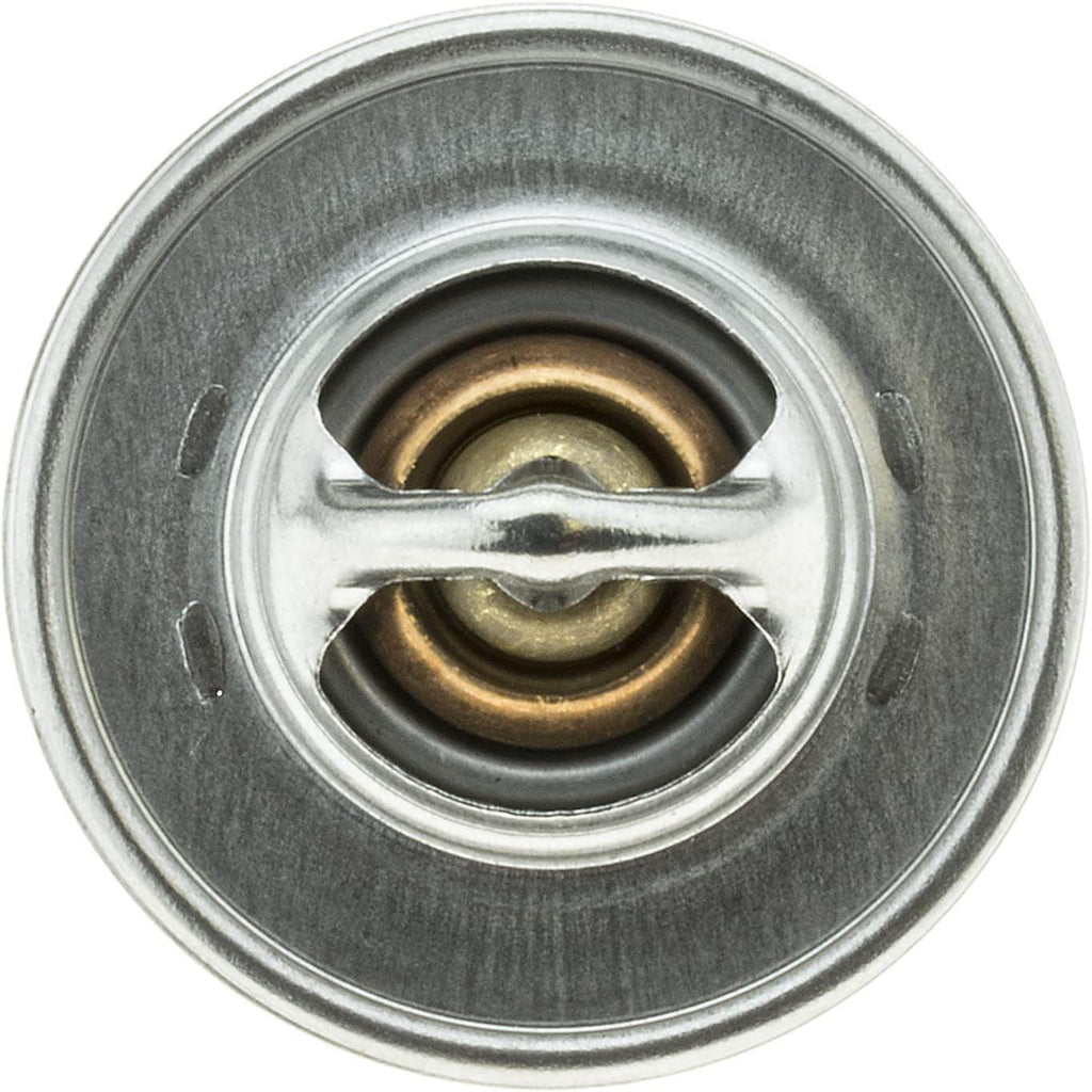 '-13352 OE Type Thermostat, Stainless Steel
