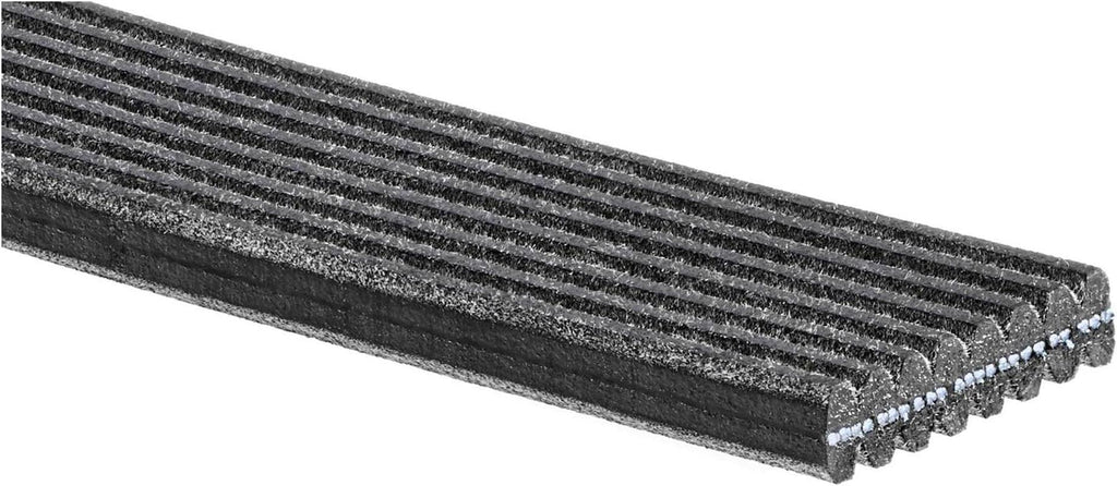 Gold 8DK1254 Dual Sided V-Ribbed Serpentine Belt