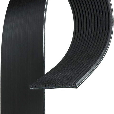 Gold 14K580 Standard V-Ribbed Serpentine Belt