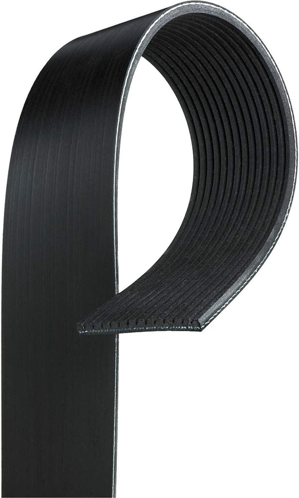 Gold 14K682 Standard V-Ribbed Serpentine Belt