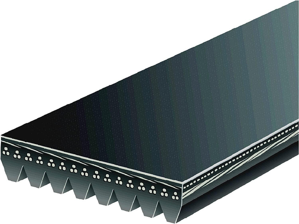 Gold 8K774 Standard V-Ribbed Serpentine Belt