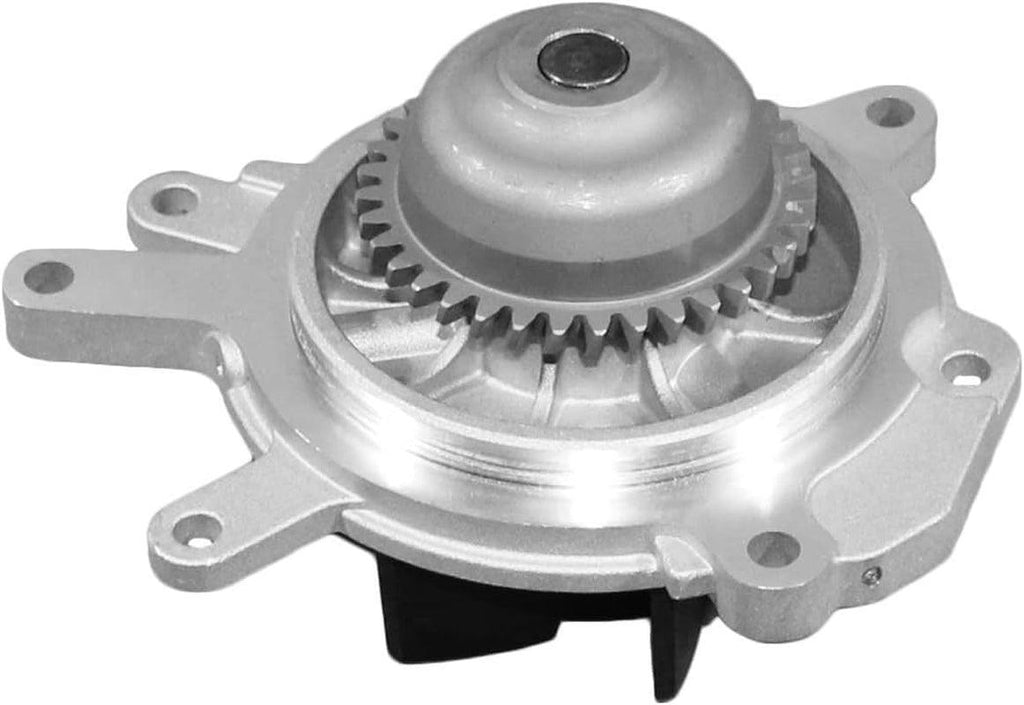 Professional 252-1039 Water Pump Kit