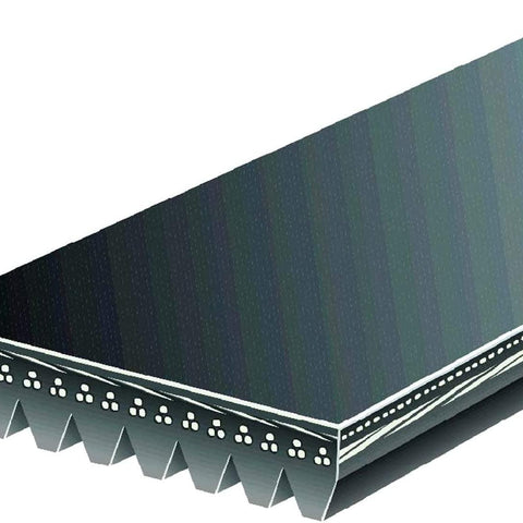 Gold 2PJ836 Standard V-Ribbed Serpentine Belt