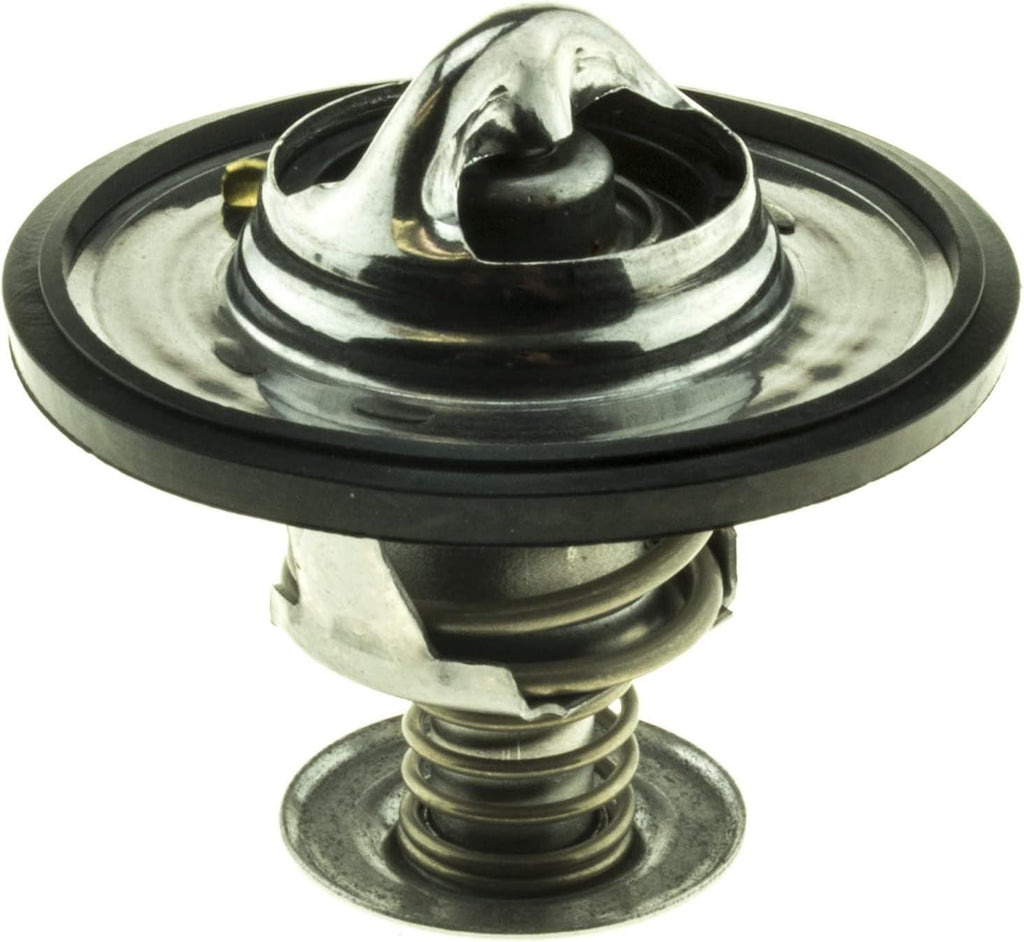 '-45119 Superstat Premium Thermostat, Stainless Steel