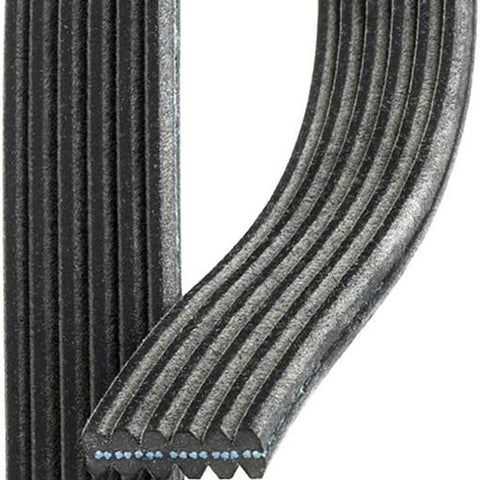 Gold 6DK973 Dual Sided V-Ribbed Serpentine Belt