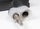 GM Genuine Parts 15-63666 Air Conditioning Condenser