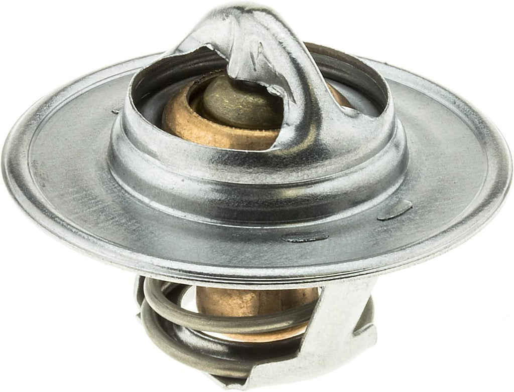 '-13352 OE Type Thermostat, Stainless Steel