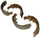 Centric Parts 111.07050 Brake Shoe