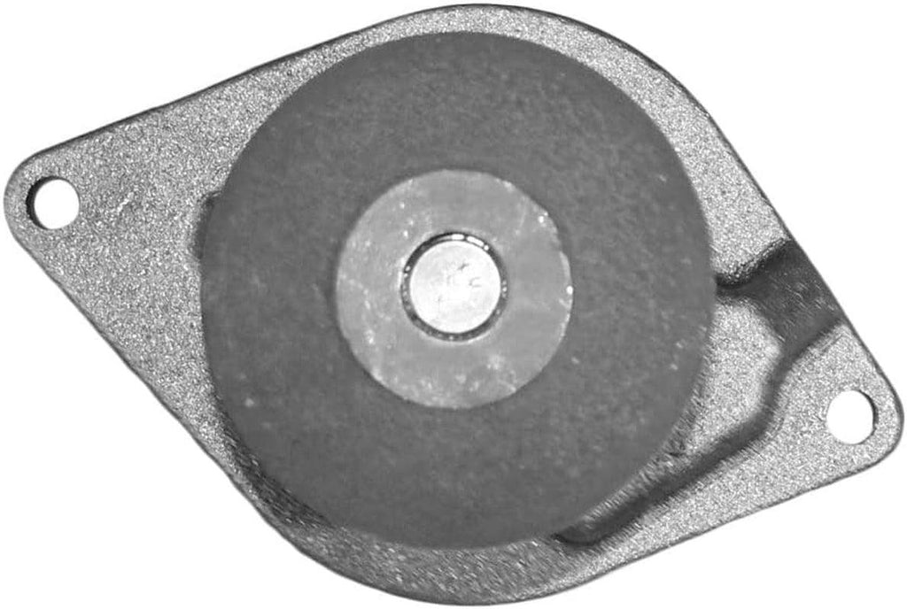 Professional 252-1041 Water Pump Kit