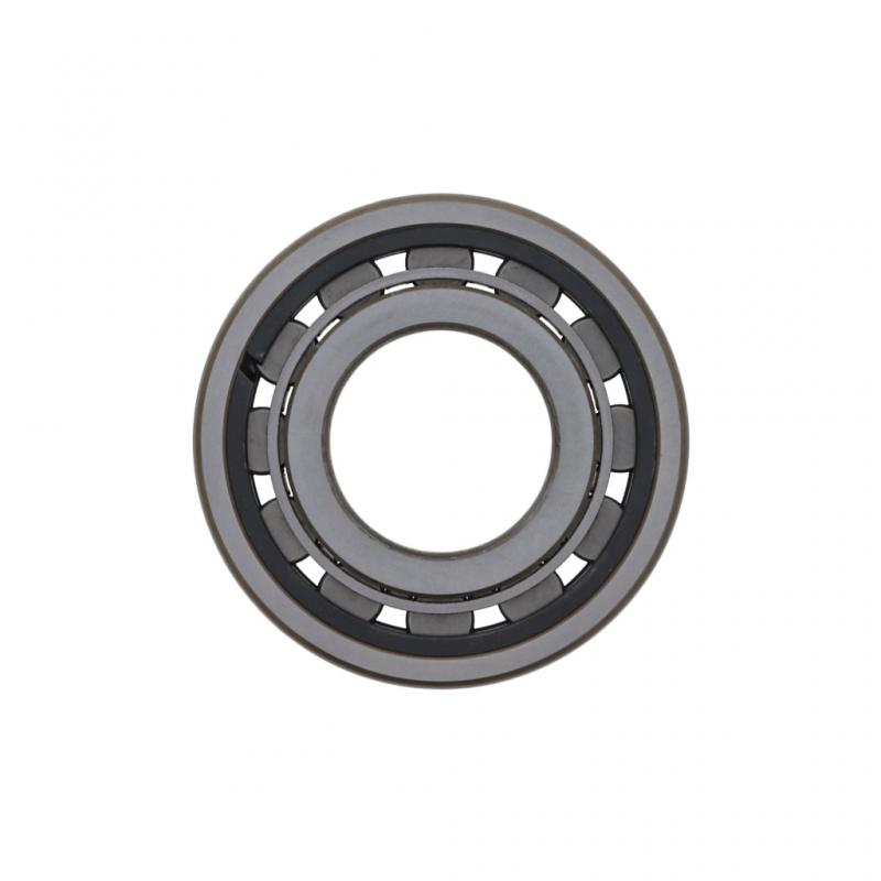 PAI INDUSTRIES ­-­ EF61710 ­-­ BEARING REPLACES MACK 67AX224