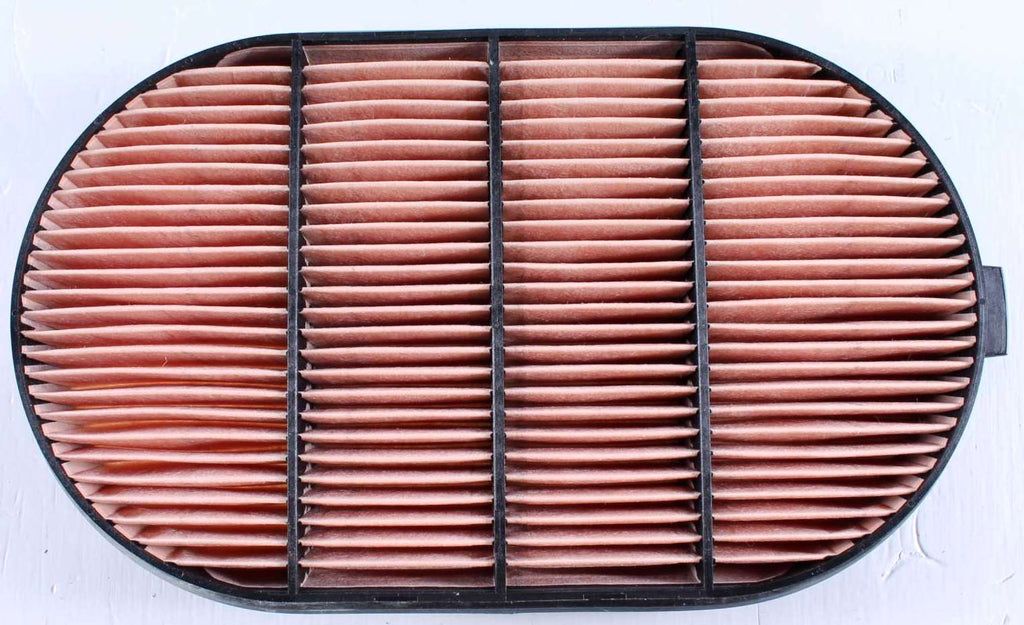 DONALDSON - P601560 - SECONDARY AIR FILTER