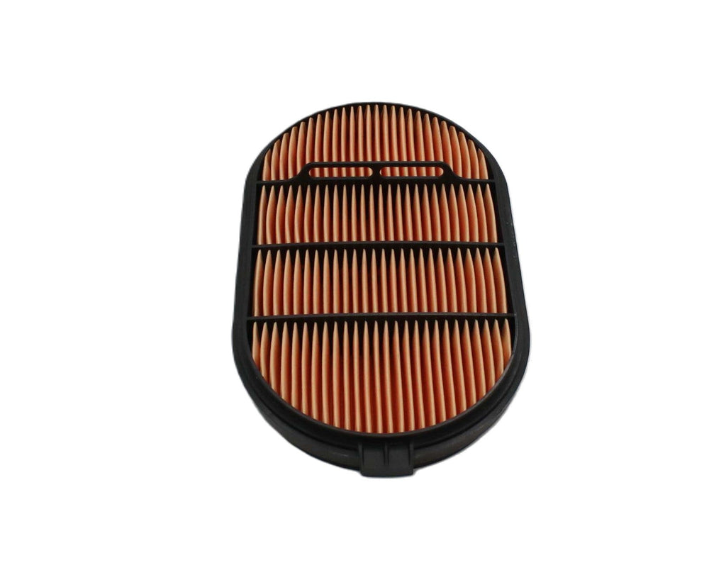 DONALDSON - P601560 - SECONDARY AIR FILTER