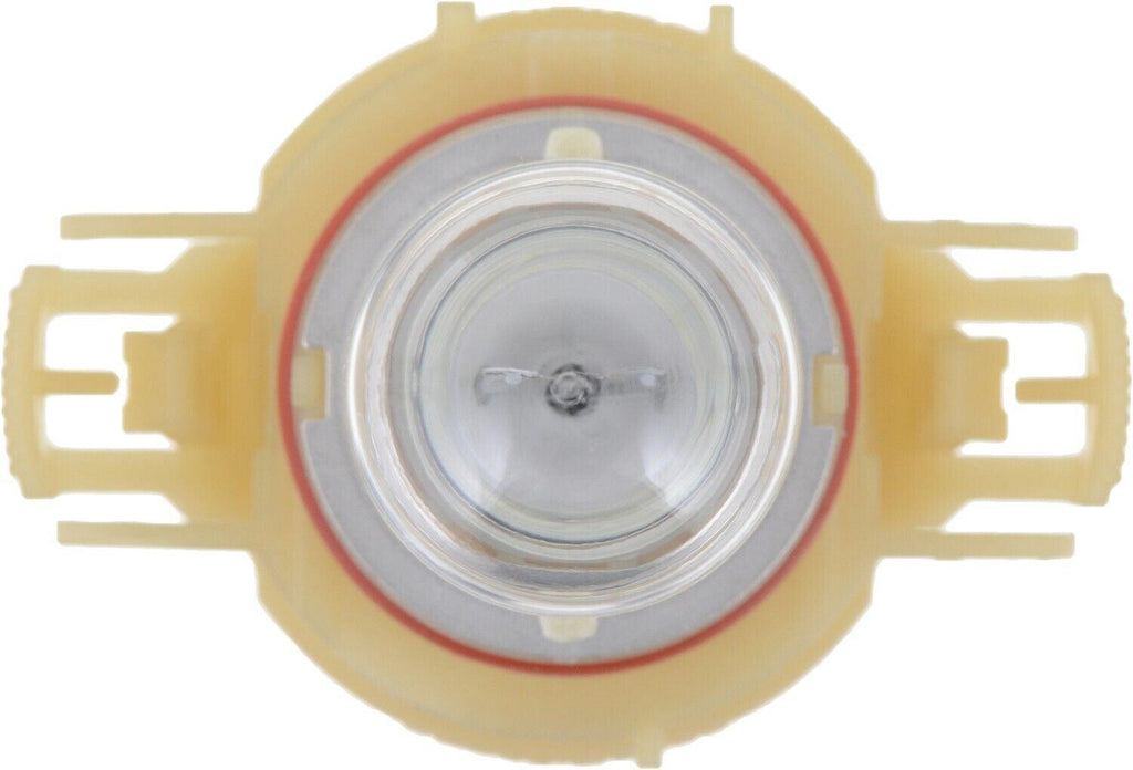 Fog Light Bulb for Aveo, Beat, Silverado 2500 Hd+More PS24WFFB1