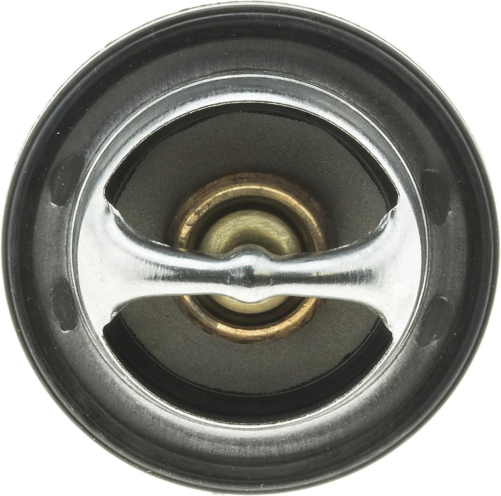 '-14698 OE Type Thermostat,Stainless Steel