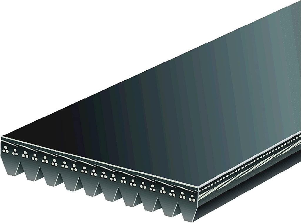 Gold 10K563 Standard V-Ribbed Serpentine Belt