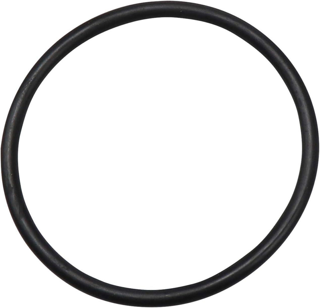 147-0061 Water Flange