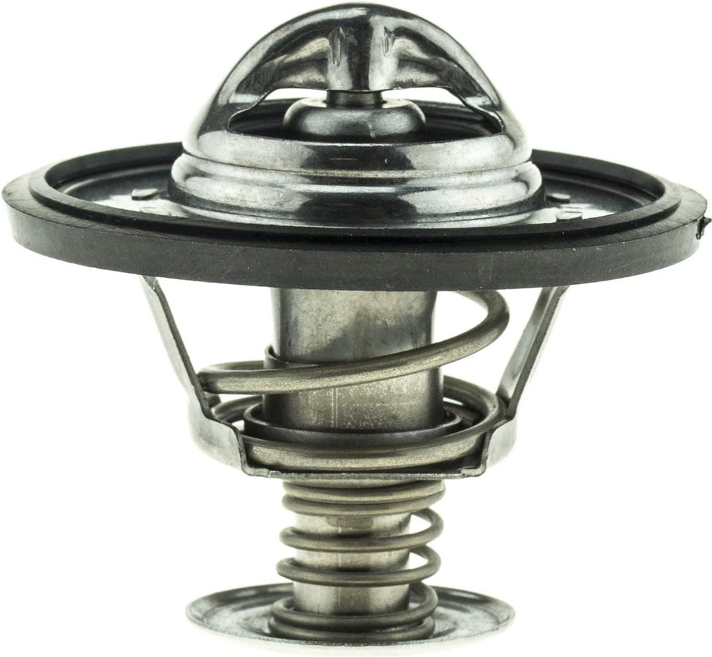 '-45119 Superstat Premium Thermostat, Stainless Steel