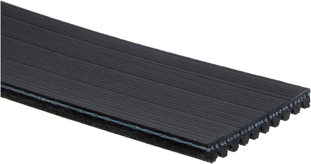 Gold 10K495 Standard V-Ribbed Serpentine Belt