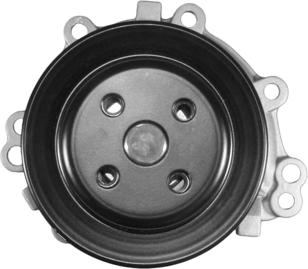 Professional 252-487 Water Pump Kit