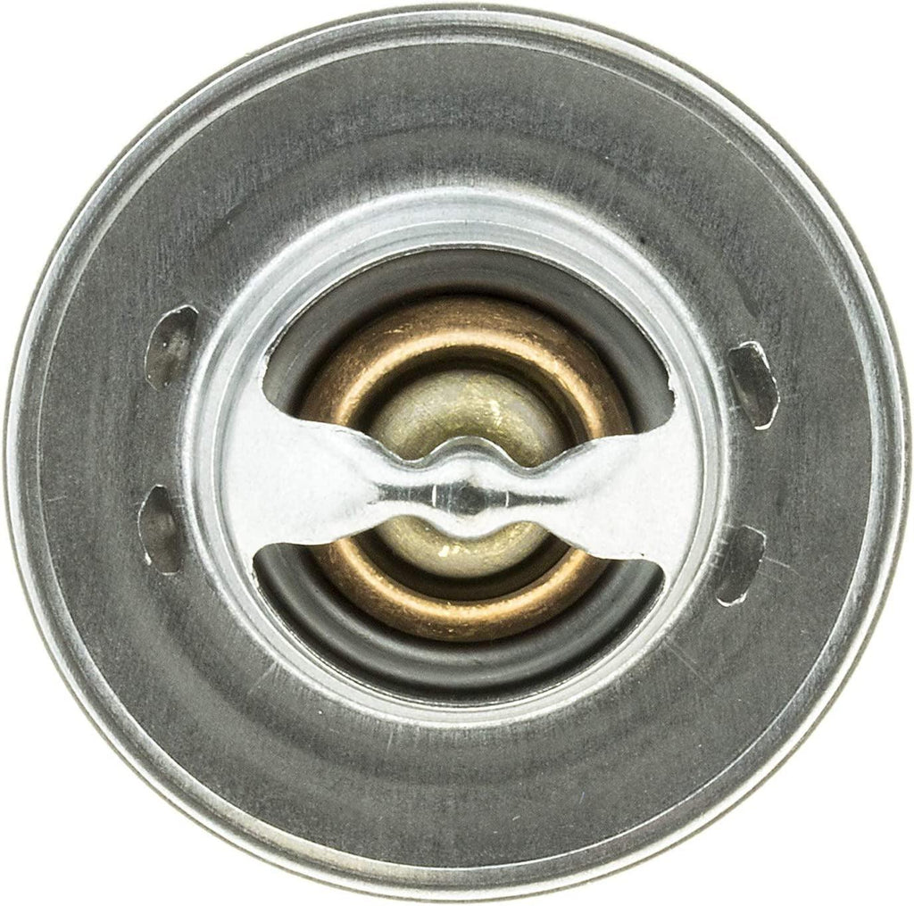 '-13009 Economy Thermostat,Stainless Steel