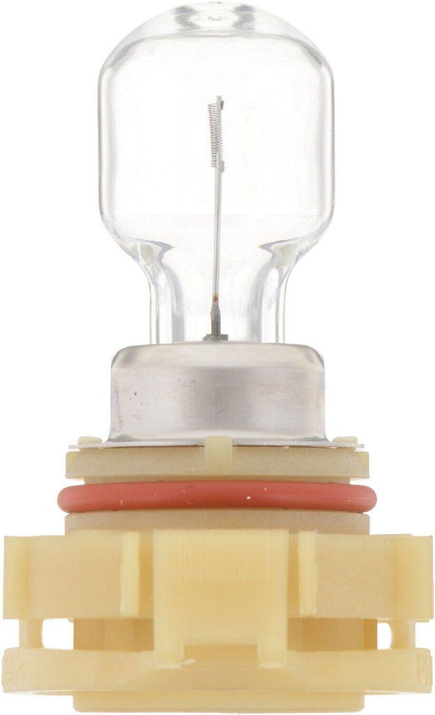 Fog Light Bulb for Aveo, Beat, Silverado 2500 Hd+More PS24WFFB1