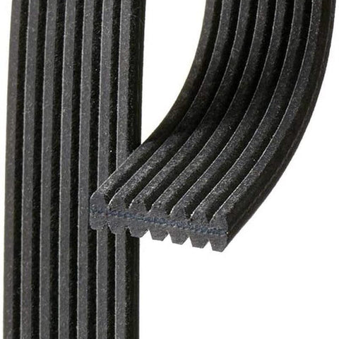 Gold 7DK1135 Dual Sided V-Ribbed Serpentine Belt