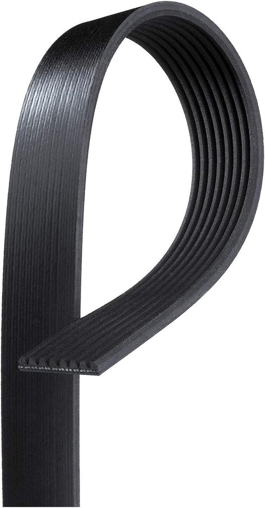 Gold 8K1023 Standard V-Ribbed Serpentine Belt