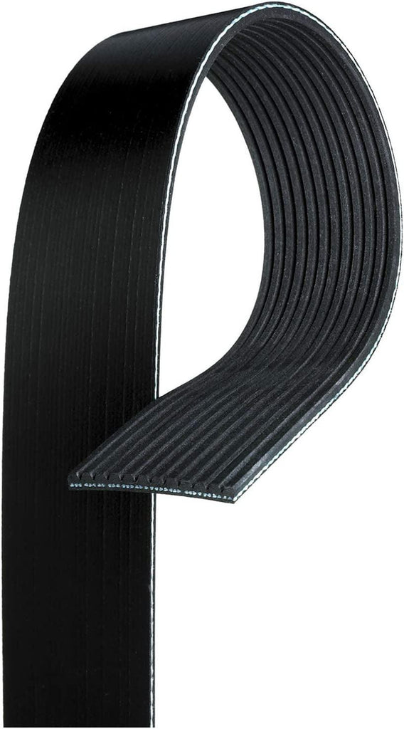 Gold 12K606 Standard V-Ribbed Serpentine Belt