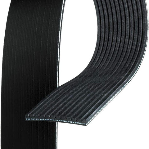 Gold 12K702 Standard V-Ribbed Serpentine Belt