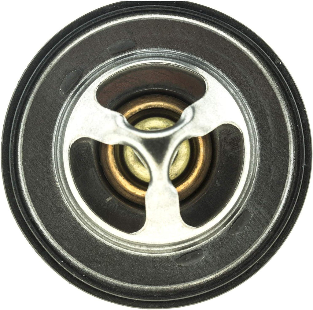 '-14728 OE Type Thermostat, Stainless Steel