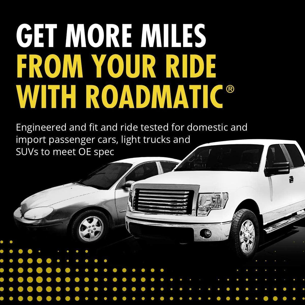 282299 Roadmatic Complete Strut Assembly