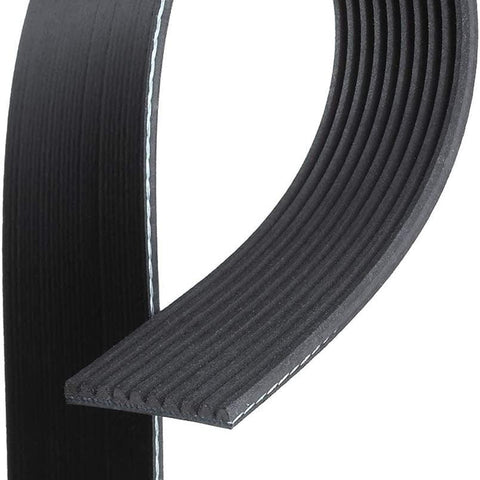 Gold 10K655 Standard V-Ribbed Serpentine Belt