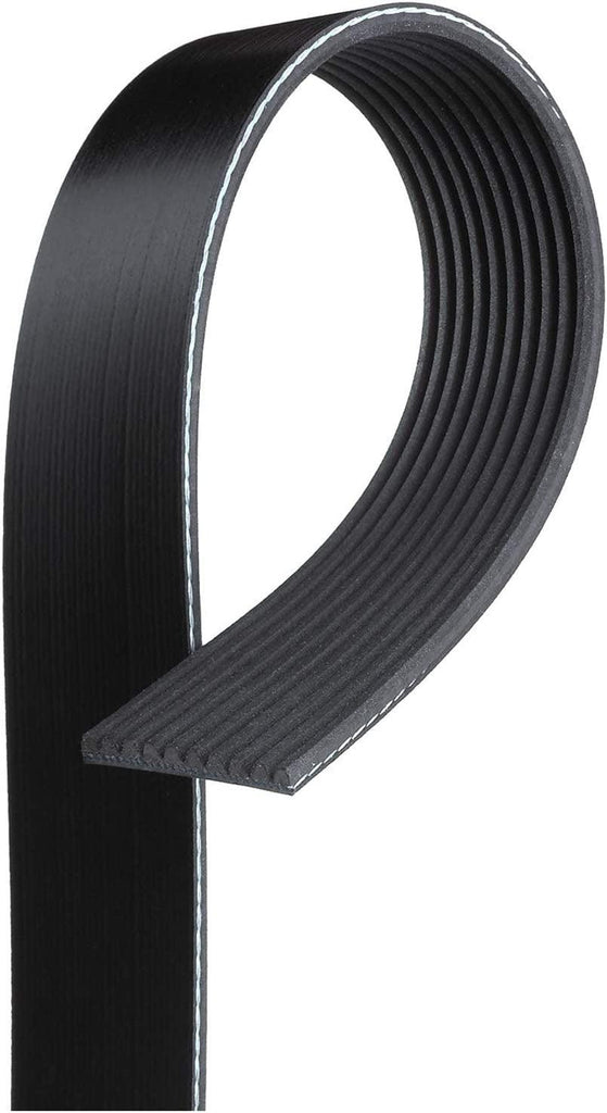 Gold 10K840 Standard V-Ribbed Serpentine Belt