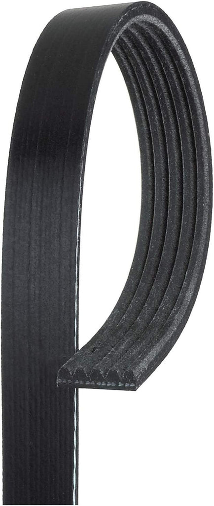 Gold 5K825 Standard V-Ribbed Serpentine Belt