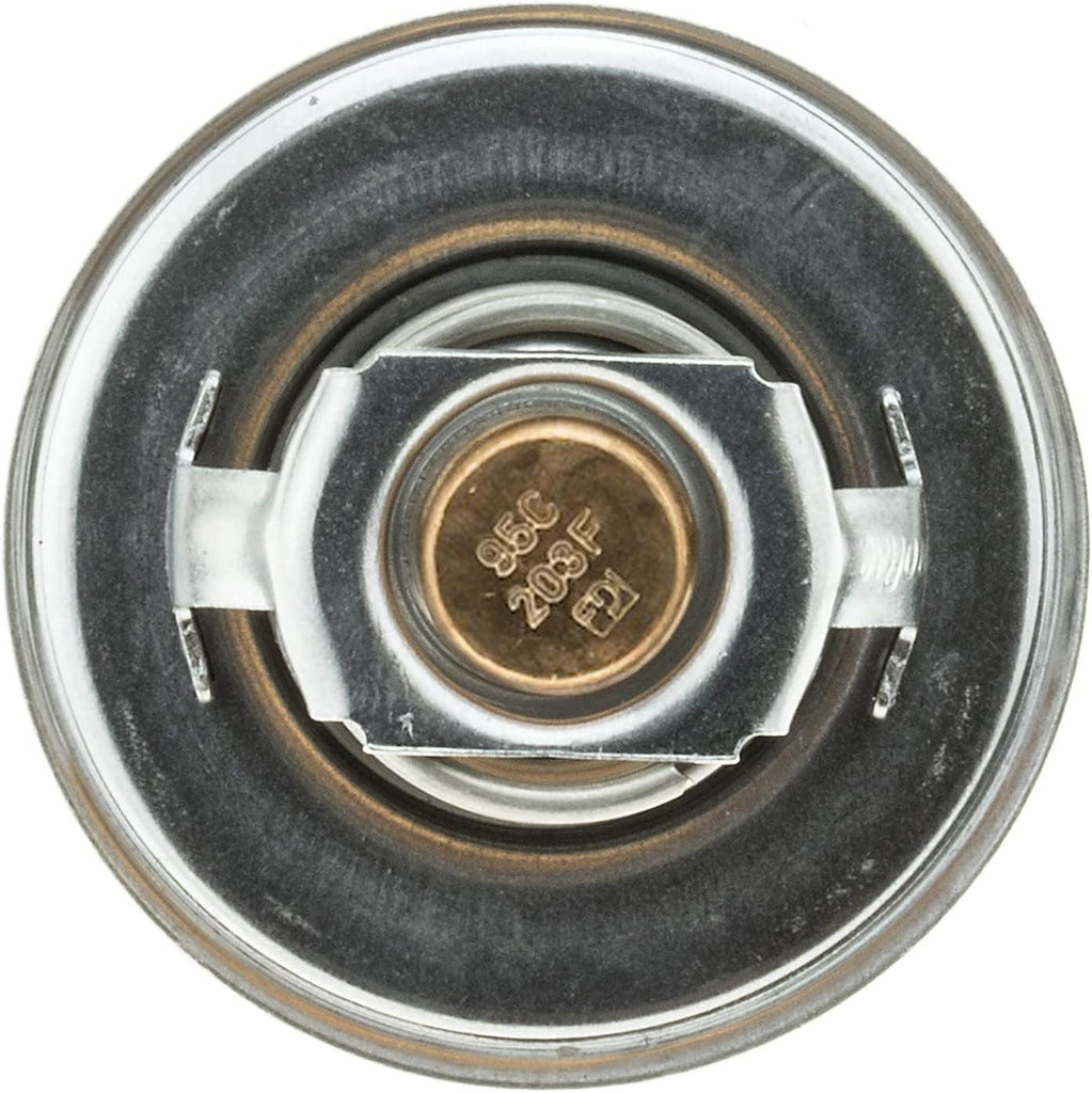 '-13352 OE Type Thermostat, Stainless Steel