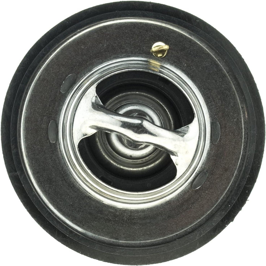 '-45119 Superstat Premium Thermostat, Stainless Steel