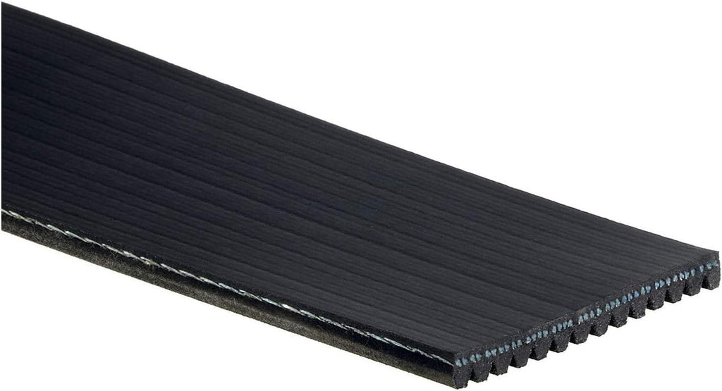 Gold 14K662 Standard V-Ribbed Serpentine Belt