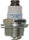 5987 Spark Plug