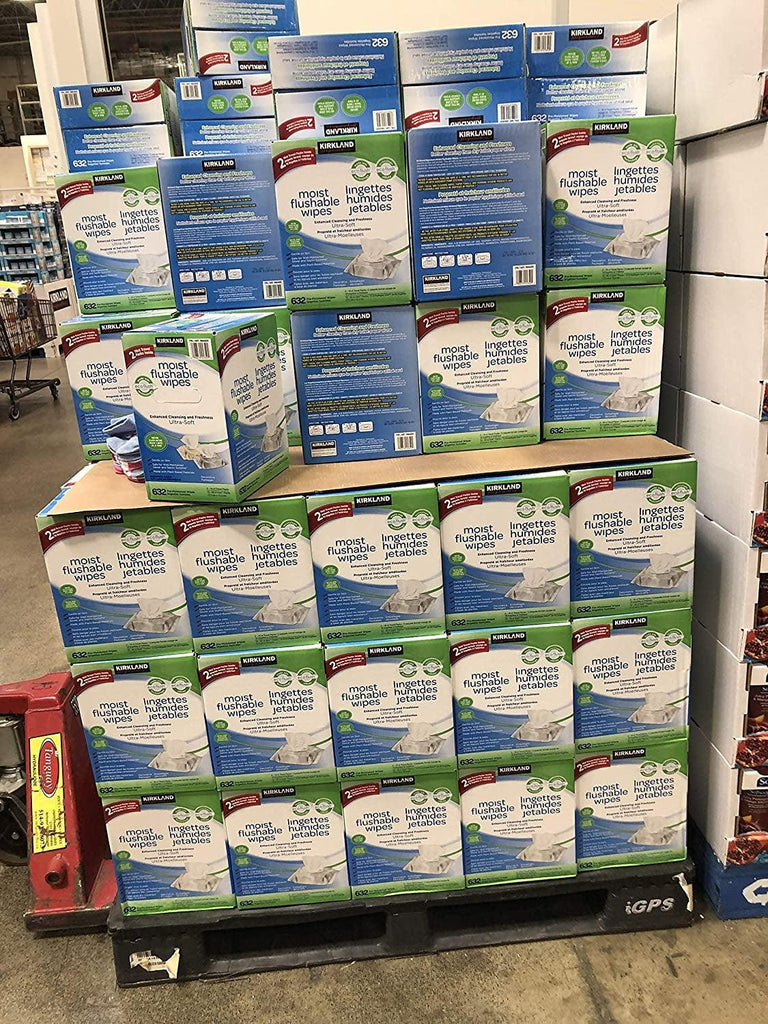 Kirkland Moist Flushable Wipes 632 Wipes, 632 Count, White