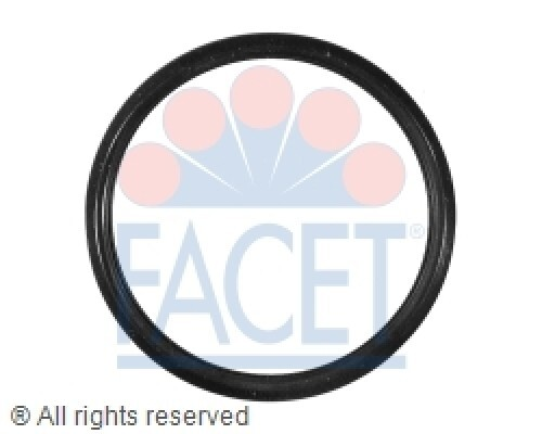 Engine Coolant Thermostat Gasket-Base Facet 7.9569
