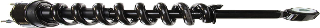 Roadmatic 181362 Strut and Coil Spring Assembly