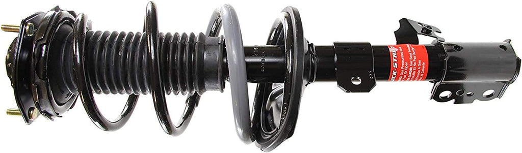 271495 Strut Assembly